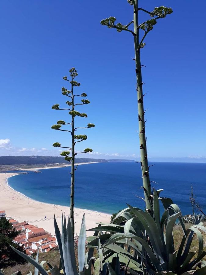 Refugio Villa Mar Nazaré Exterior foto